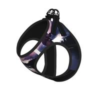 M Pet Leash Vest & Dog Harness - Small Sized Vikings Boat Print Leash Set, Reflective, Adjustable for Cats & Dogs