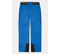M Picture Mens Object Ski Pants Bright Blue Size
