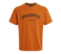 Craghoppers Mens Batley Work T-Shirt (Potters Clay) - Orange - Size Medium
