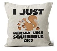 M-Qizi I Just Really Like Squirrels OK Throw Pillow Cover,Gifts for Squirrel Lovers,Cartoon Squirrel Pillow Case for Sofa Bed Home Bedroom Girls Room Office,18 x 18 Inch,Teen Girls Kids Gift