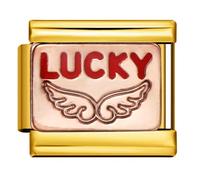 M&S 18K Gold Rose Birthday Heart Mum Daughter Evil Eye Lucky Dog Cat Stainless Steel 9mm Italian Link Charm Compatible With Nomination Bracelet (Lucky 18k Angel Wings Guardian Heaven Memorial)