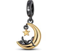 M&S Cat Dog Moon Star Love Puppy Kitten Heart Memorial Pet Charm Bead Pendant Compatible With Pandora Bracelet (Cat Moon Star)