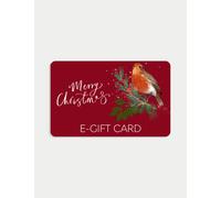 M&S Christmas Robin E-Gift Card