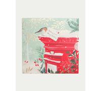 M&S Christmas Robin Post Box Gift Card