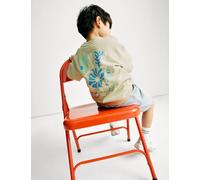 M&S Collection male Pure Cotton Reef Graphic Sweatshirt (2-8 Yrs) - 4-5 Y - Soft Green, Soft Green