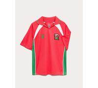 M&S FIFA Wales Football T-Shirt (2-16 Yrs) Multi