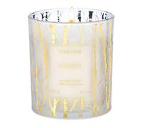M&SENSE 230g Forest Scented Candles, Long Burning 42h, Soy Wax Candle for Outdoor Indoor, Summer Candles Gift for Patio,Garden, Organic Non Toxic Candle for Sleep, Family, Hoilday
