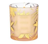 M&SENSE 230g Vanilla Scented Candles, Long Burning 42h, Outdoor Indoor Summer Candles for Patio, Garden, Home. Soy Wax Candle Natural Organic for Gift, Party, Hoilday