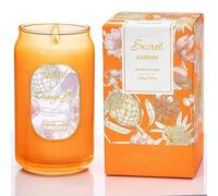 M&SENSE 300g Soy Scented Candles Orange&Goji - 60 Hours Long Burning, Non-Toxic Glass Jar Purple Candle, Aromatherapy for Relaxing, Luxury Birthday/Mother's Day Gifts for Women