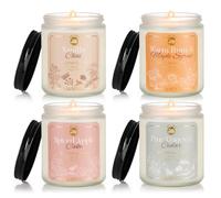 M&SENSE 4 Pack 7 oz Scented Candle, Everyday Home Fragrance, 48H Lasting Soy Wax Candles, Vanilla Chai, Spiced Apple, Pinewood, Rum Maple Syrup Scents