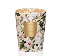M&SENSE Amber Jasmine Scented Candle 14.1oz 60H Burn Time Long Lasting, 3-Wick Natural Aromatherapy Candle Highly Scented, Home Fragrance Housewarming Gifts
