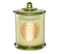 M&SENSE Basil Ginger Large Scented Candles Gifts for Men Strong Organic 360g 75H Soy Candles Gifts for Women Long Burning Non Toxic Aromatherapy Candles for Stress Relief 2 Wick Jar Candles