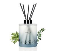 M&SENSE Eucalyptus Mint Large Reed Diffuser, 500ml Scented Diffuser with Sticks, Home Fragrance Gift for Bedroom, Bathroom, Office Decor, Non Toxic Long Lasting Scent for Man & Women