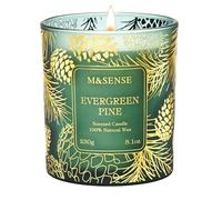 M&SENSE Evergreen Pine Soy Candle,230g Gilded Glass, Winter Holiday Scent