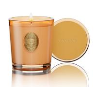 M&SENSE Halloween Candles, Pumpkin Apple Pie Soy Scented Candle Gift for Women and Men - 260g | 50 Hours Burn Time, Orange |Luxury Home Scented and Home Décor