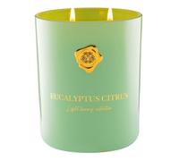 M&SENSE Large Eucalyptus Citrus Scented Candles, 470g Luxury 2-Wick Candle with 90H Burn Time, Natural Soy & Palm Wax Blend, Premium Gift for Women/Mother's Day/Birthday