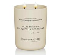 M&SENSE Natural Soy Candle Non Toxic Eucalyptus Mint Scented Candles for Home Large Jar Candles 470g 110 Hours Burn Time Minimalist Aromatherapy Candle Gift for Relaxation, Stress Relief,Mediation