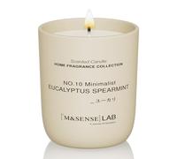 M&SENSE Natural Soy Candle Non Toxic Eucalyptus Mint Scented Candles for Home Small Jar Candles 150g 30 Hours Burn Time Minimalist Aromatherapy Candle Gift for Relaxation, Stress Relief,Mediation