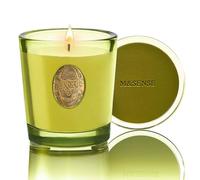 M&SENSE Natural Soy Wax, Seattle Rainforest Scented Aromatherapy Candle Gift for Women and Men - 9.2 oz | 50 Hours Burn Time, Orange |Luxury Home Scented and Home Décor