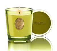 M&SENSE Scented Candles 260g White Tea & Sage Natural Soy Wax Candles 55 Hours Long Burning Time, Perfect Christmas Gifts for Women and Men