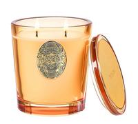 M&SENSE Scented Candles Gifts for Women 560g Basil Ginger, 2-Wick Natural Soy Wax Large Candle 110H Long Burning, Aromatherapy Candles Gift for Men, Perfect Halloween Christmas Birthday Gifts