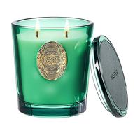 M&SENSE Scented Candles Gifts for Women 560g Evergreen Pine, 2-Wick Natural Soy Wax Large Candle 110H Long Burning, Aromatherapy Candles Gift for Men, Perfect Halloween Christmas Birthday Gifts