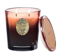 M&SENSE Scented Candles Gifts for Women 560g Fireside Flurries, 2-Wick Natural Soy Wax Large Candle 110H Long Burning, Aromatherapy Candles Gift for Men, Perfect Halloween Christmas Birthday Gifts