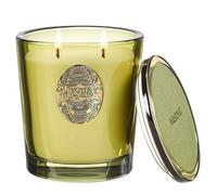 M&SENSE Scented Candles Gifts for Women 560g Forest Cabin, 2-Wick Natural Soy Wax Large Candle 110H Long Burning, Aromatherapy Candles Gift for Men, Perfect Halloween Christmas Birthday Gifts