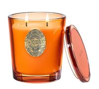 M&SENSE Scented Candles Gifts for Women 560g Orange Goji, 2-Wick Natural Soy Wax Large Candle 110H Long Burning, Aromatherapy Candles Gift for Men, Perfect Halloween Christmas Birthday Gifts