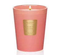 M&SENSE Tropical Spice Peach Organic Soy Scented Candles Gifts for Women Strong 400g 75H Candle Gifts for Men Long Burning Non Toxic Aromatherapy Candles for Spa Home Fragrance Candle for Friend