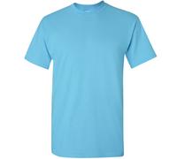(M, Sky) Gildan Mens Ultra Cotton Short Sleeve T-Shirt