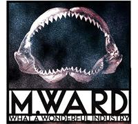 M.WARD - WHAT A WONDERFUL INDUSTRY
