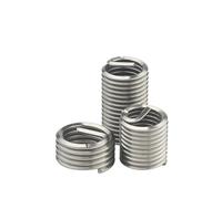 M1.6 M2 M2.5 M3.5 M4 M5 M6 M8 M24 Stainless Steel Coiled Wire Helical Screw Bushing Sleeve Set - Thread Inserts Repair(Length 2.5D,M22x 2.5 (2pcs))