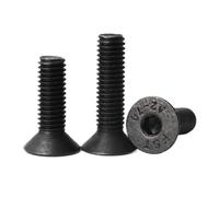 M1.6 M2 M2.5 M3 M4 M5 M6 M8 M10 Black 304 A2-70 Stainless Steel Hex Hexagon Socket Flat Countersunk Head Machine Screw Bolts(10mm,M2.5 (40pcs))