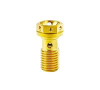M10 Motorcycle Banjo Bolt Brake Hose Screw Bleed Nipple Caliper Oil Drain Screw Single Hole Clutch Line Fastener(Gold,M10x1.25mm)