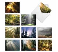 M1735BNsl Shining Through: 10 Assorted Blank All-Occasion Note Cards Feature Sunlit Landscapes, w/White Envelopes. by The Best Card Company