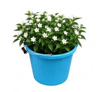 M1SS 14 Litre / 3 Gallon Sky Blue Planter Bucket with Metal Handle - Heavy Duty Plastic Garden Bucket for Flowers, Herbs & Vegetables, DIY, Utility, Builder & Household Use with Spout