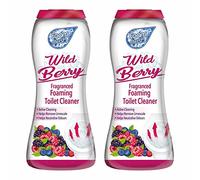 M1SS 2 x 370G Wild Berry Foaming Toilet Cleaner Amazing Fragrance Deep Cleaning Action Powder Cleaning Foam and Extra Freshness Toilet Cleaner (Wild Berry)