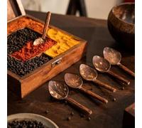 M1SS 6 Pcs of Wooden Coconut Shell Mini Spice Spoons, Eco-Friendly and Durable Small Spoons for containers, Each 10 cm, Mini Spice Spoons Perfect for Spices, Tea, Coffee, Desserts