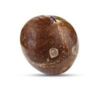 M1SS Coconut Piggy Bank (Openable at the Bottom) | Eco-Friendly Handmade Money Bank | Sustainable Coconut Shell Design | Ideal for little ones & Adults | Unique Gift for Savings & Home Décor