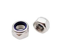 M2 .5 M3 M4 M5 M6 M8 M10 M12 M14 M16 304 Stainless Steel Black Hex Nylon Insert Lock Nut Self-locking Locknut(304 stainless steel,2pcs M14)