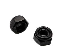 M2 .5 M3 M4 M5 M6 M8 M10 M12 M14 M16 304 Stainless Steel Black Hex Nylon Insert Lock Nut Self-locking Locknut(Black,5pcs M10)