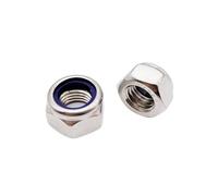 M2 M2.5 M3 M3.5 M4 M5 M6 M8 M10 M12 M14 M16 304 Stainless Steel Black Hex Insert Lock Nut Self-locking Locknut(304 stainless steel,100pcs M2.5)