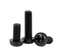 M2 M2.5 M3 M4 M5 M6 M8 Black Nylon Round Head Screws Plastic Insulated Pan Head Cross Round Screws Bolts(25mm,M5-5pcs)