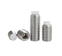 M2 M2.5 M3 M4 M5 M6 M8 M10 M12 M16 304 Stainless Steel Hex Hexagon Socket Plastic Nylon Convex Point Tip Grub Bolt Set Screw(12mm,5pcs M6)