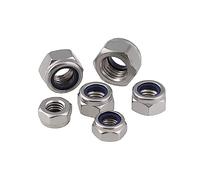 M2 M2.5 M3 M4 M5 M6 M8 M10-M20 Hex Nylon Insert Lock Nut 304 Stainless Steel DIN985 Hexagon Self-Locking Nylock Locknut(M10(5pcs))