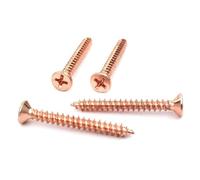 M2 M3 M4 M5 Rose Gold Color Phillips Self-Tapping Screws Iron Cross Flat Head Wood Screw 20Pcs, 20pcs, M4x40mm