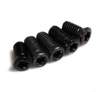 M2 to M5 Torx Screw Set 20pcs for CNC Lathe Tool For Replacement for Hard Alloy Blades (.5 * 10)