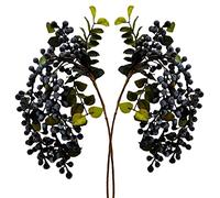 M2cbridge 2 Pcs Artificial Berries Plastic Foam Blueberry Christmas Picks Floral Arrangement 23" Tall (Blue)