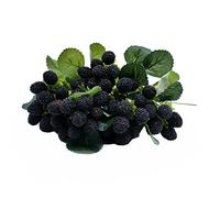 M2cbridge Artificial Raspberry Red Berry Strawberry Faux Fruit BlackBerry Props Table Decoration (Black,8PCS)